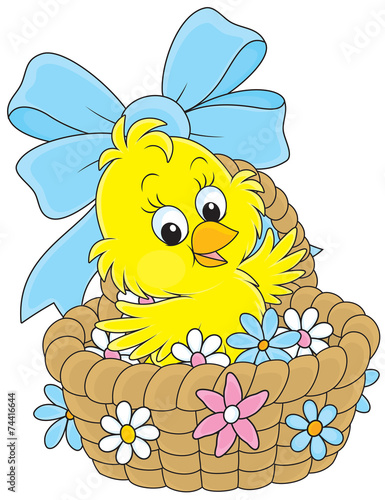 Easter Chick in a basket with flowers