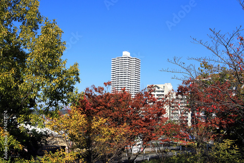 マンション photo