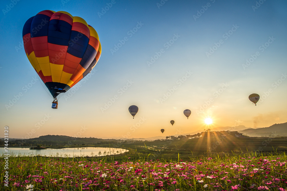 Obraz premium Hot air balloons flying over the cosmos flowers