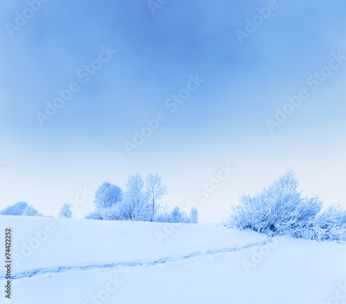 Winter landscape. © gornist