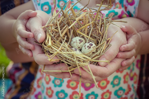 People of two generations holding nest in palms