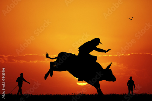 Fototapeta Naklejka Na Ścianę i Meble -  bull rider