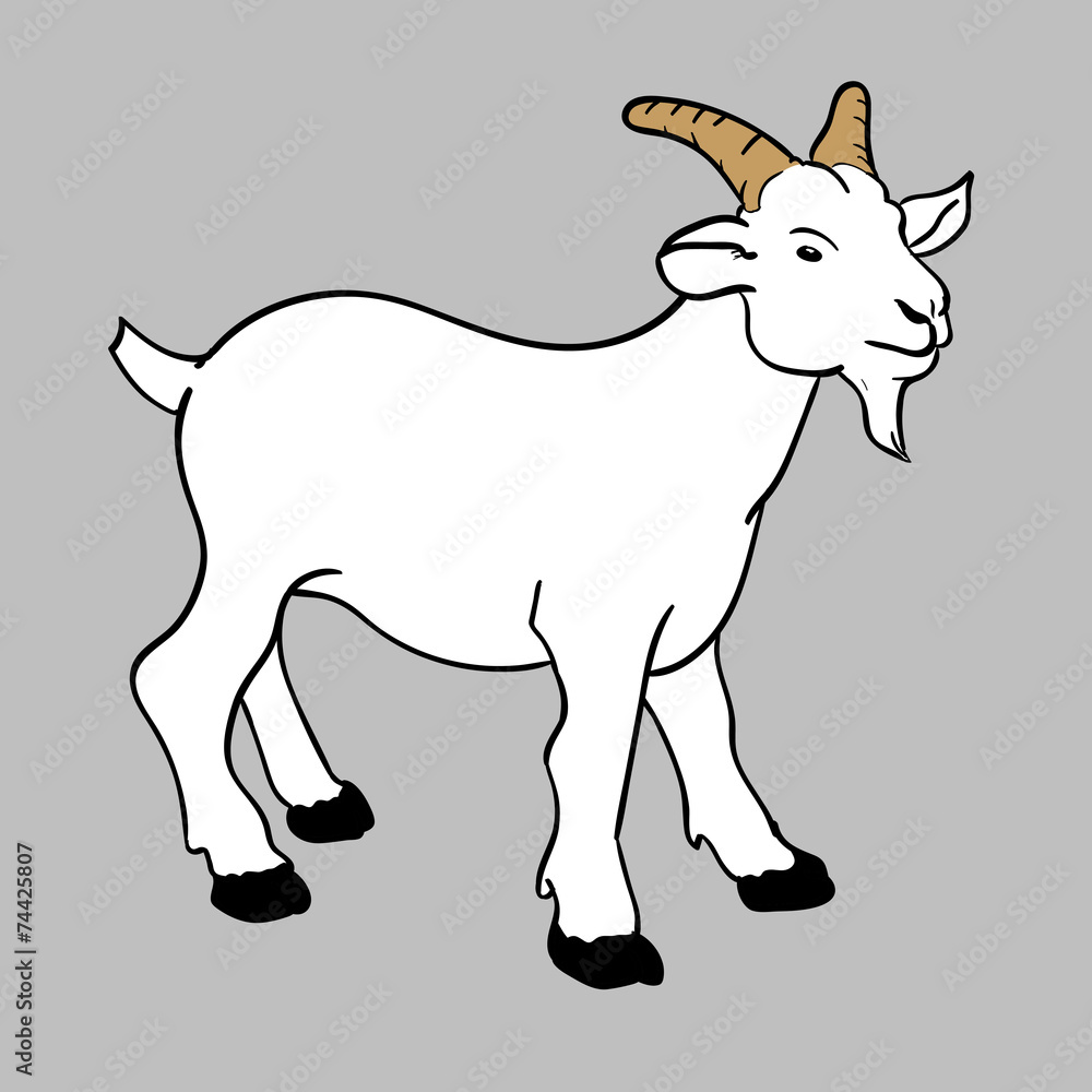 illustration goat vector