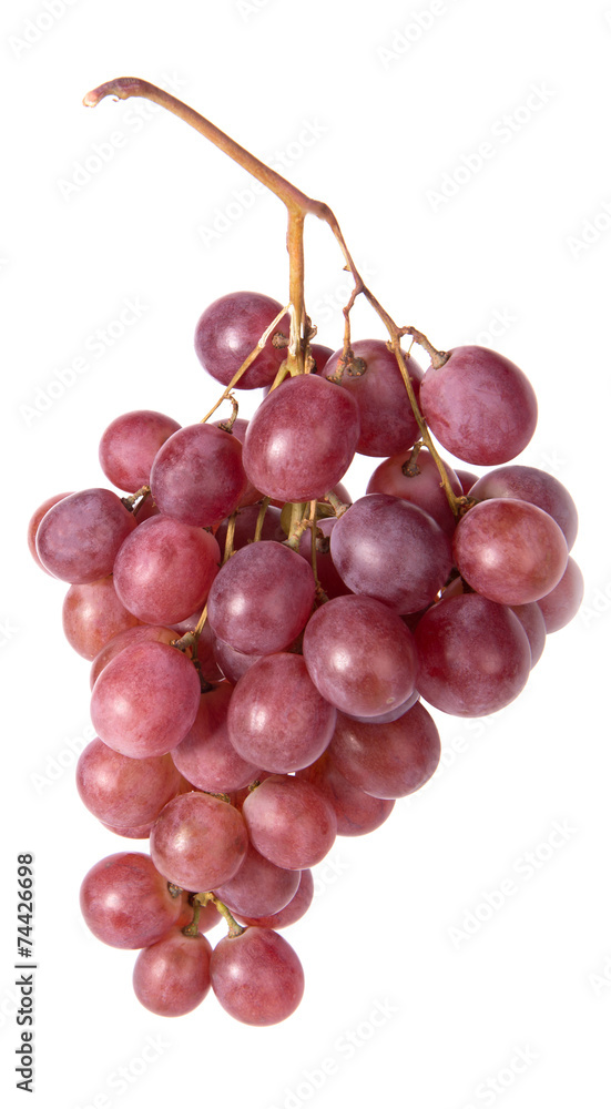 red grapes red grapes