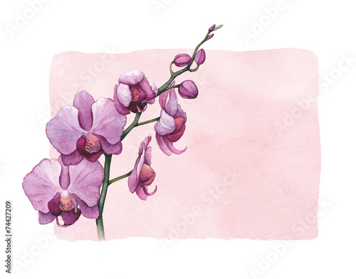 Background with watercolor orchid flowers