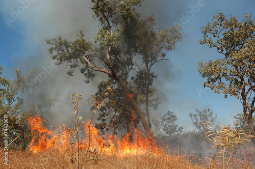 Bushfire Australia
