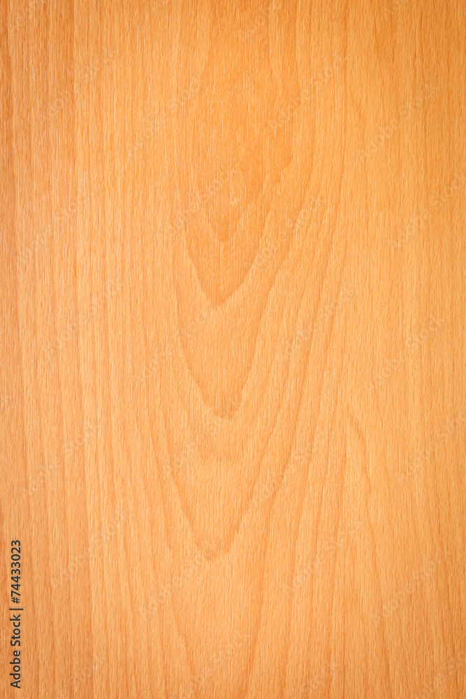 Obraz premium Wood texture background