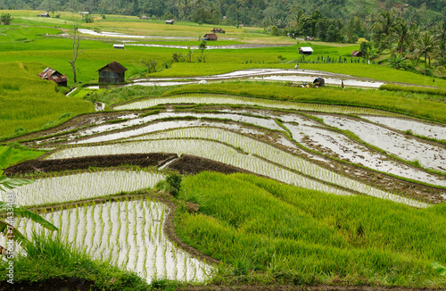 Indonesia countryside on the Sumatra island