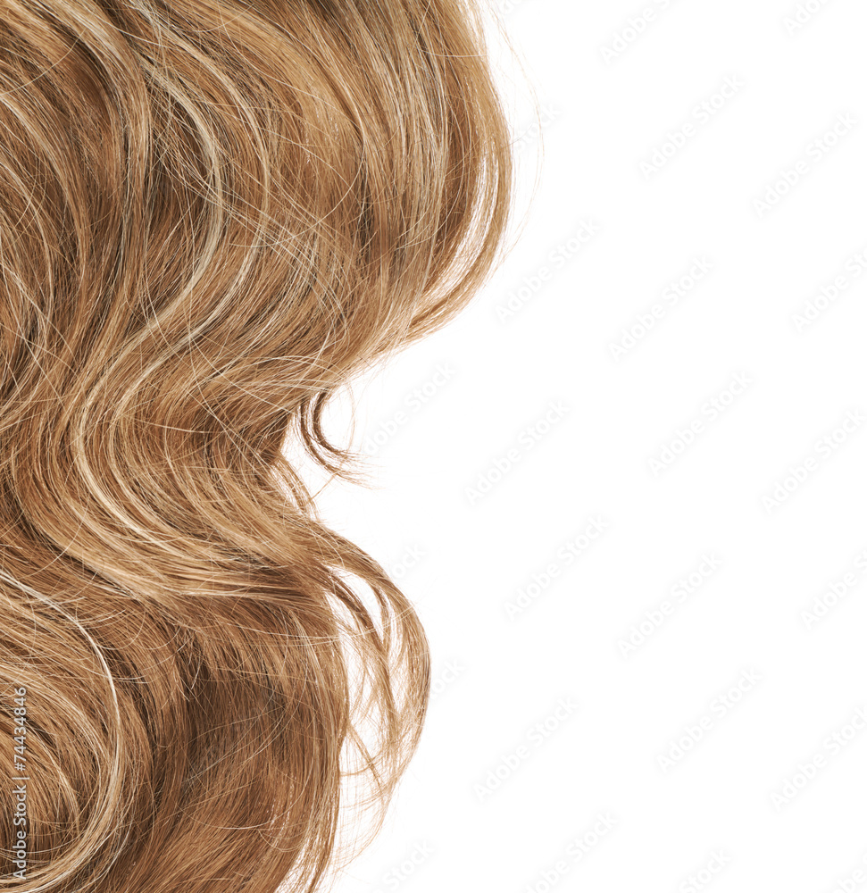 Hair fragment over the white Hair fragment over the white