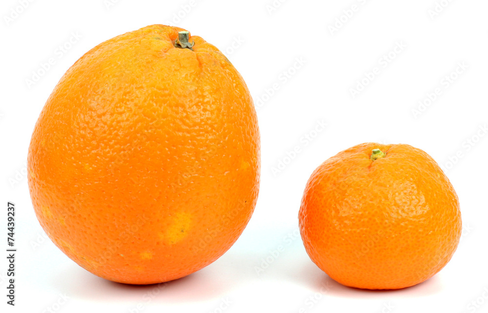 Oranges and tangerines isolated on white background Oranges and tangerines isolated on white background