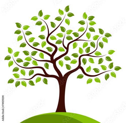 tree