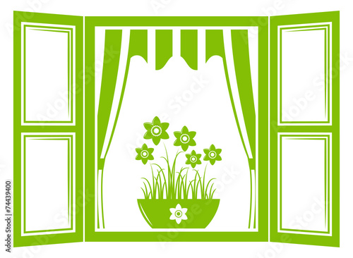 daffodils in the window