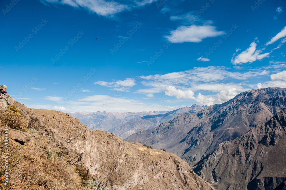 Fototapeta premium CANYON DEL Colca, Perù