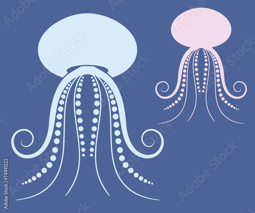 Jellyfish