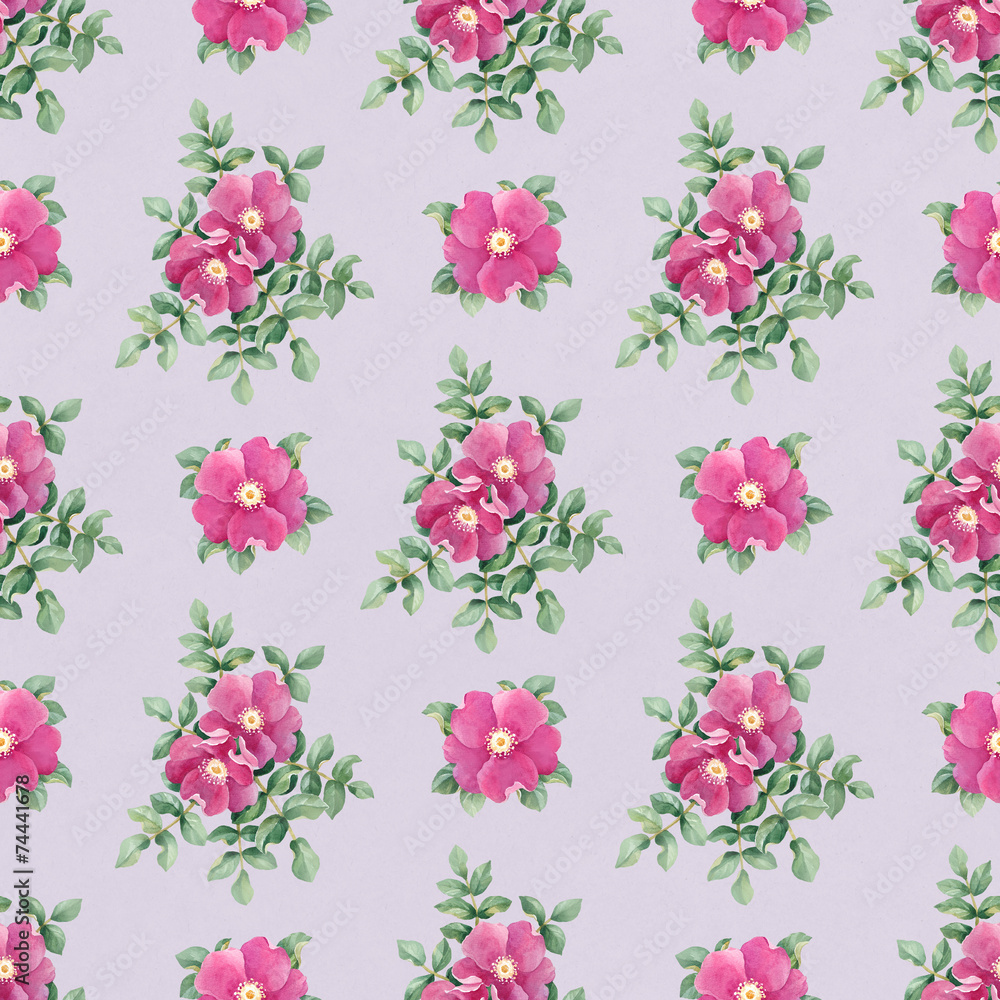 Watercolor pattern with dog rose illustration