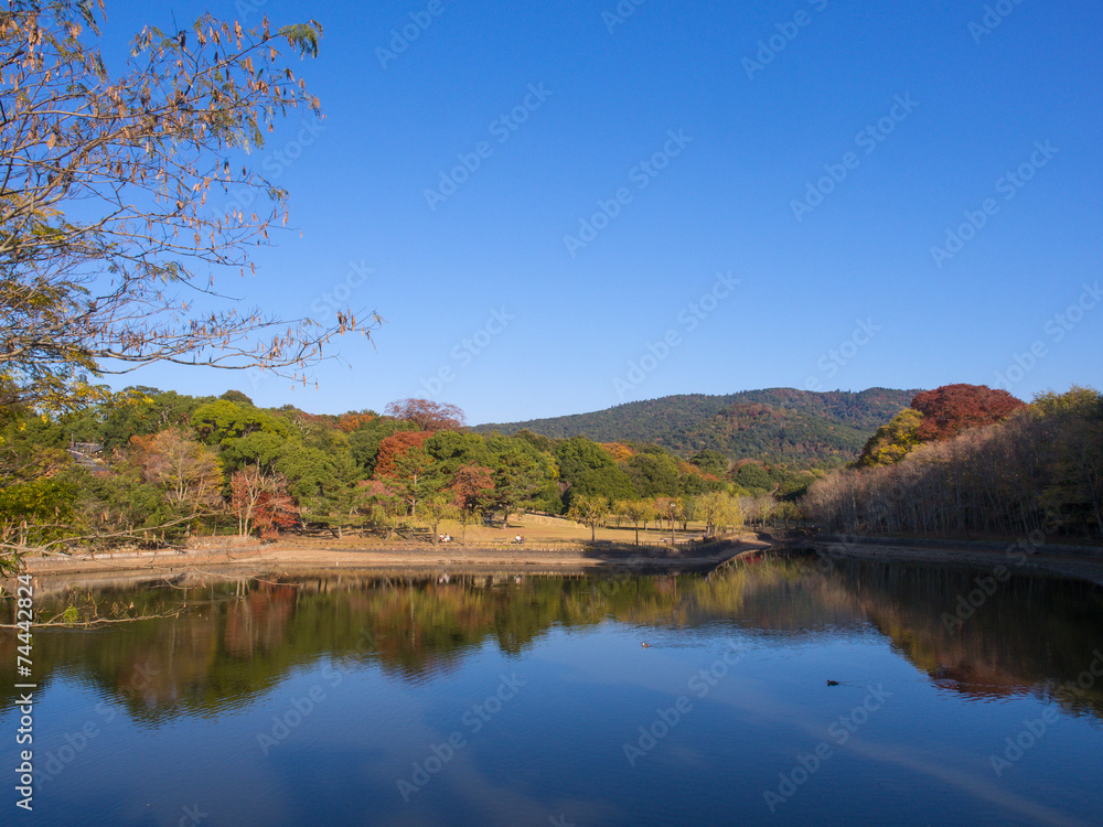 Nara view in autumn season, Japan