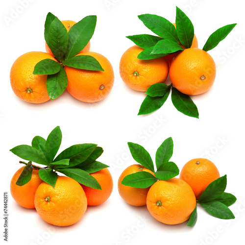 Collection oranges with leaves