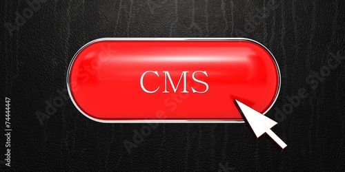 CMS button