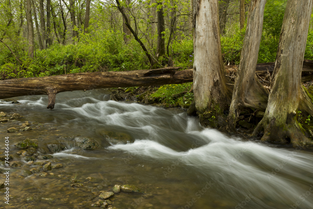 Whitewater River In Spring