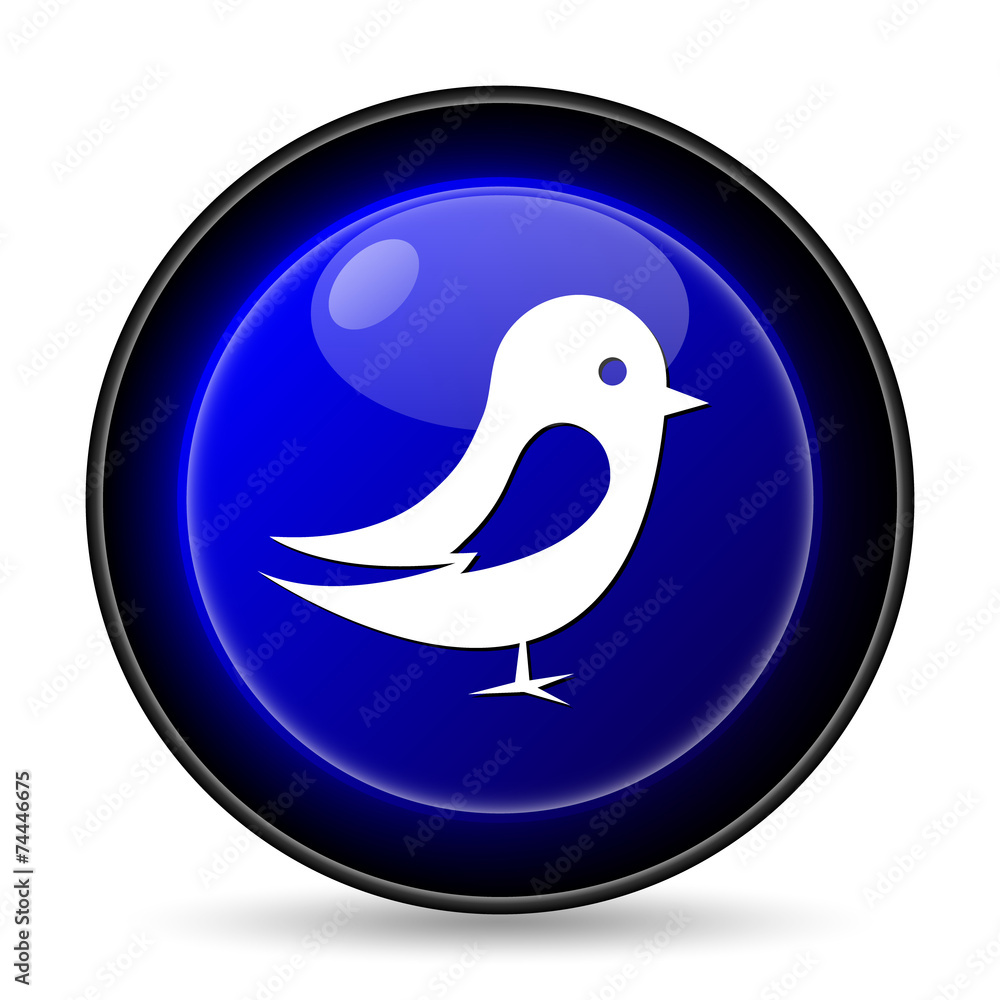 Bird icon Bird icon