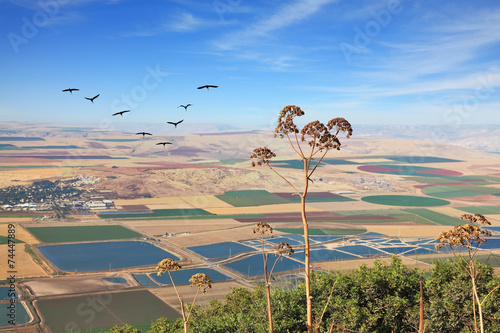 View from Mount Gilboa photo