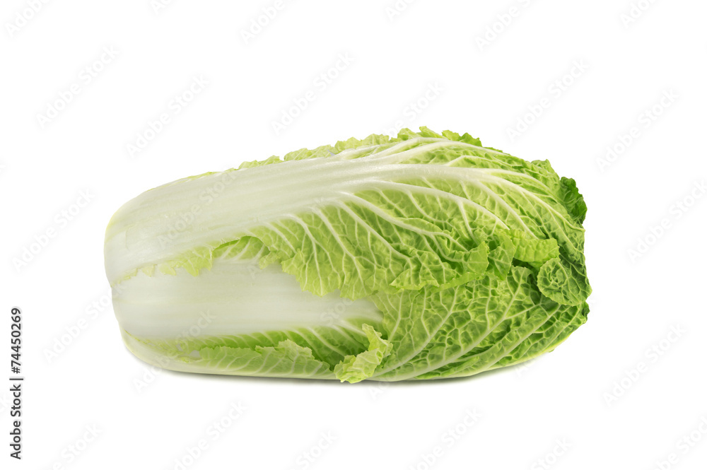 close up of napa cabbage isolated over white close up of napa cabbage isolated over white