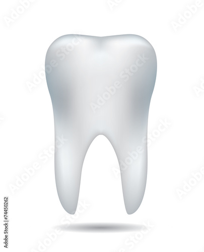 Illustration of single white teeth over white background