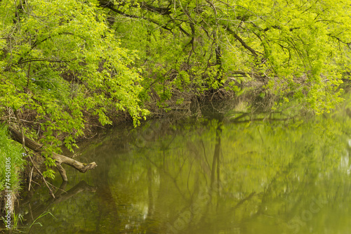 Zumbro River In Spring
