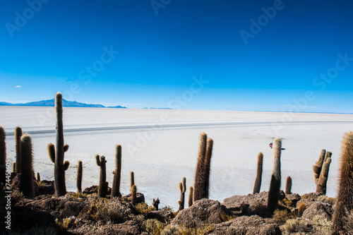 Salar de Uyuni, Isla Incahuasi, bolivia