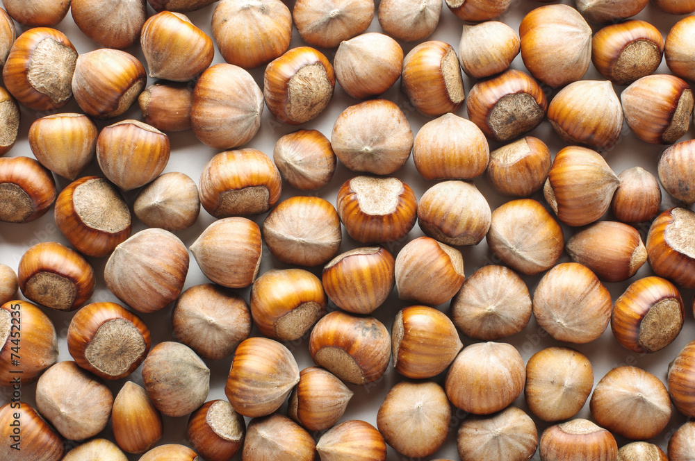 Many hazelnuts pattern Many hazelnuts pattern