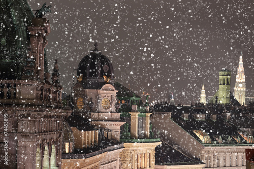 Vienna rooftops cityscape with snow