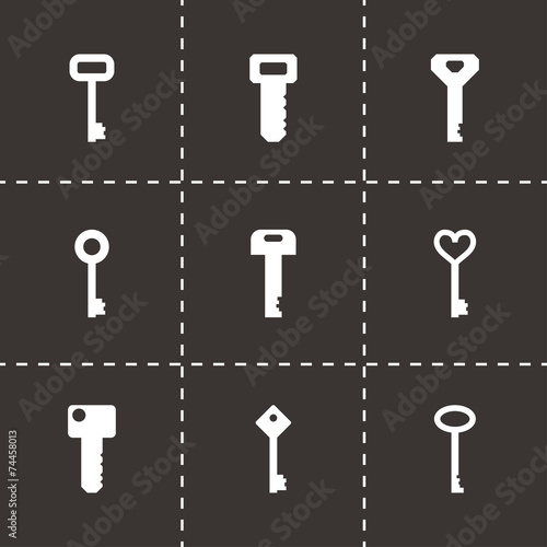 Vector key icon set