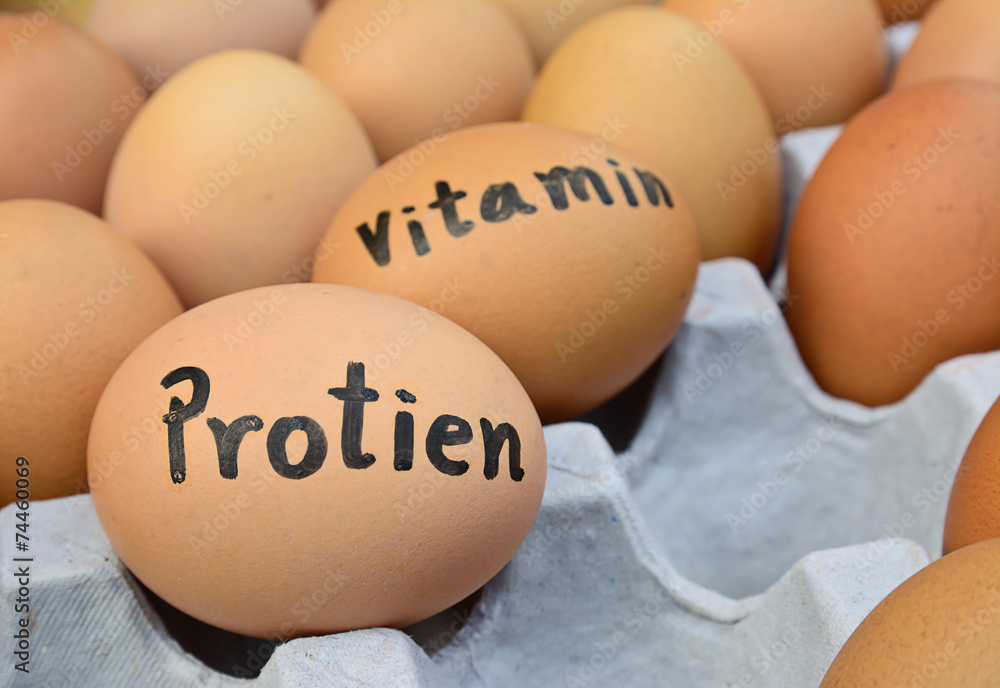 eggs with word protien,vitamin for food concept eggs with word protien,vitamin for food concept