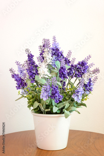 Fototapeta Naklejka Na Ścianę i Meble -  Lavender in flower pot
