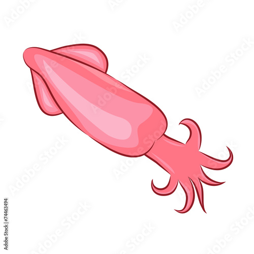 squid isolated illustration