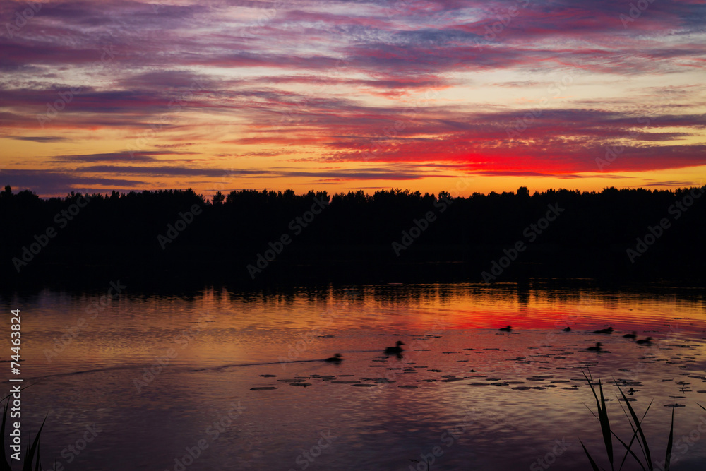 Naklejka premium Purple sunset