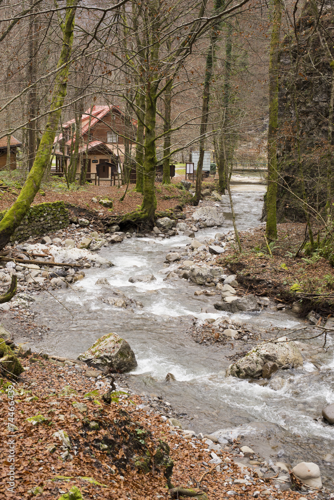 Obraz premium zeleni vir beautiful trip place