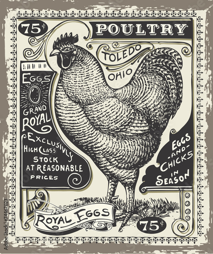 Vintage Poultry and Eggs Advertising Page Vector