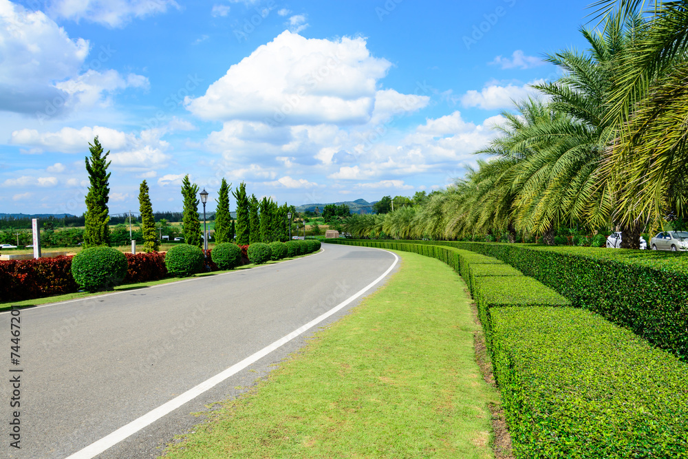 Road in the park with blue sky
