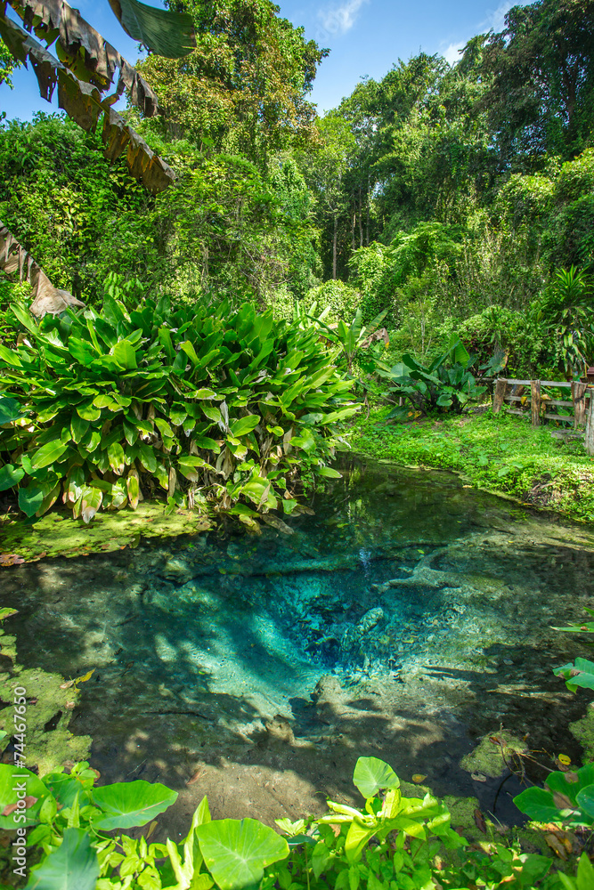 Bua Tong Rainbow spring in Northern Thailand Bua Tong Rainbow spring in Northern Thailand