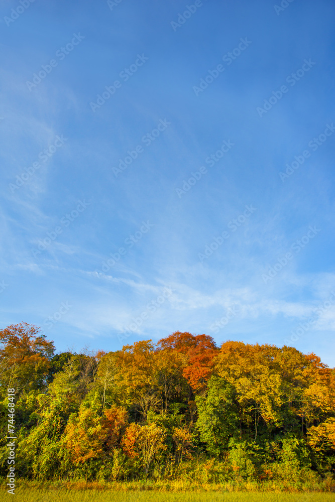 秋の風景 秋の風景