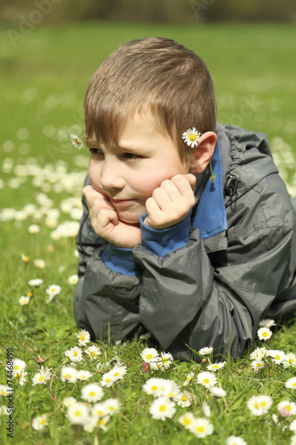 boy with daisies in the spring nature