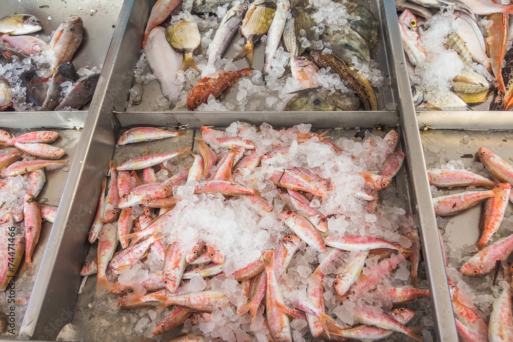 Fish displayed for sale on Greek island Kalymnos