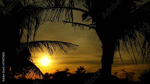 sunset on a tropical island