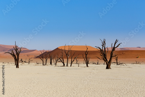 Photos Sossusvlei beautiful landscape of death valley