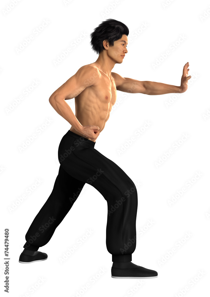 Obraz premium Martial Arts