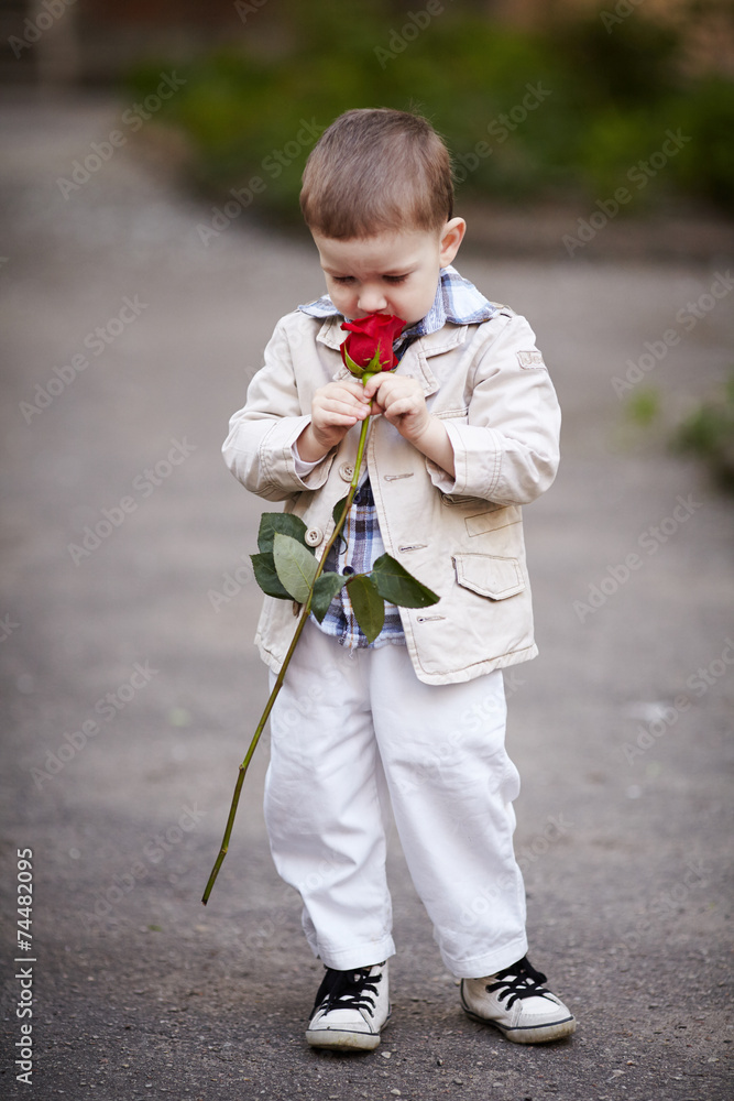 pretty boy hold red rose in hand - obrazy, fototapety, plakaty 