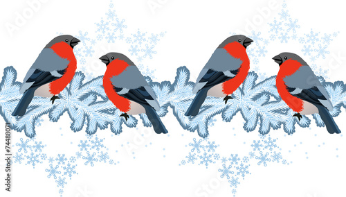 Red bullfinches on winter branches.