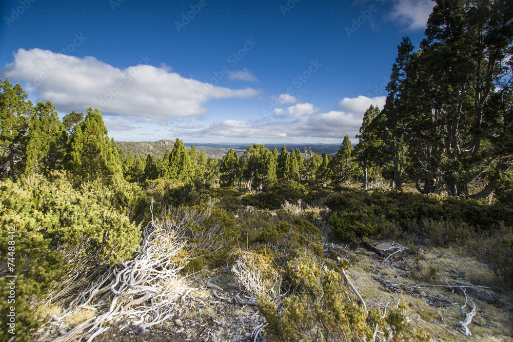Tasmanian wilderness Walls of Jerusalem National park Tasmanian wilderness Walls of Jerusalem National park