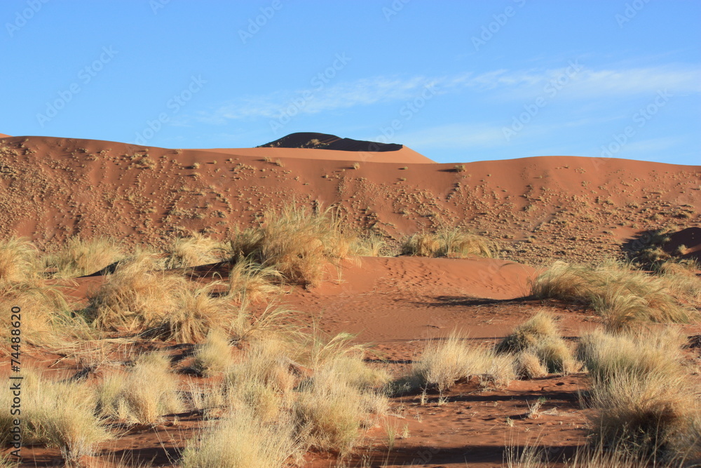 Fototapeta premium Trip durch Sossusvlei - Namibia